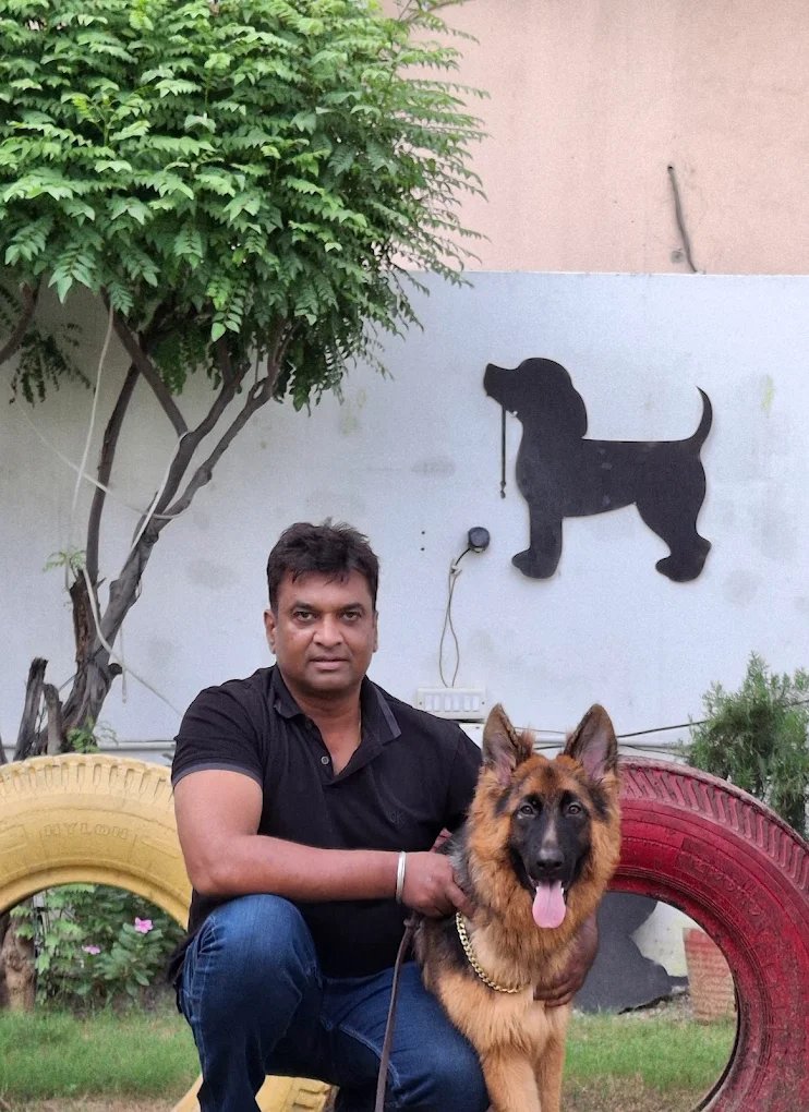 Pet grooming client transformation